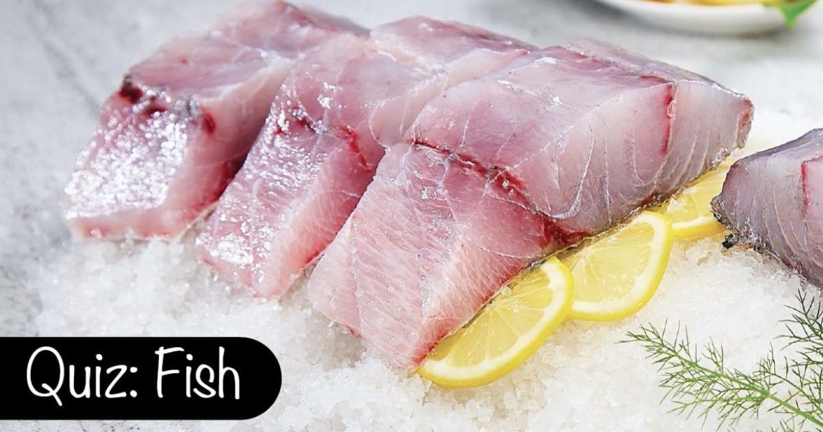 Quiz fish